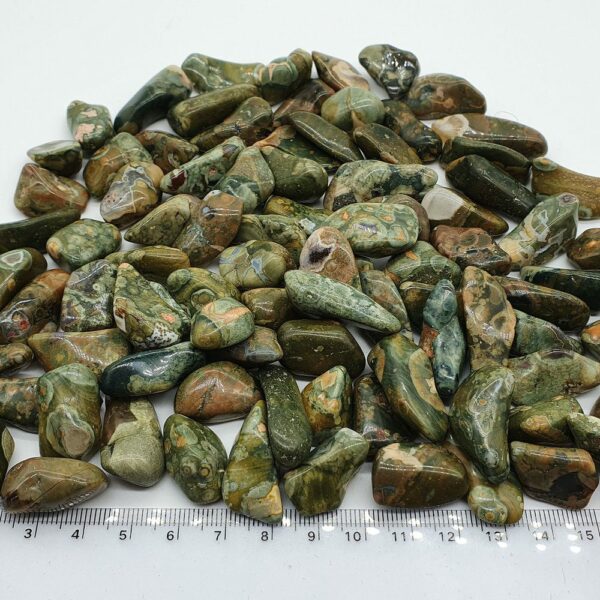 riolit_rhyolite_rainforest